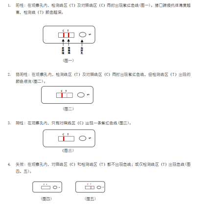 狂犬病毒抗原膠體金快速檢測卡